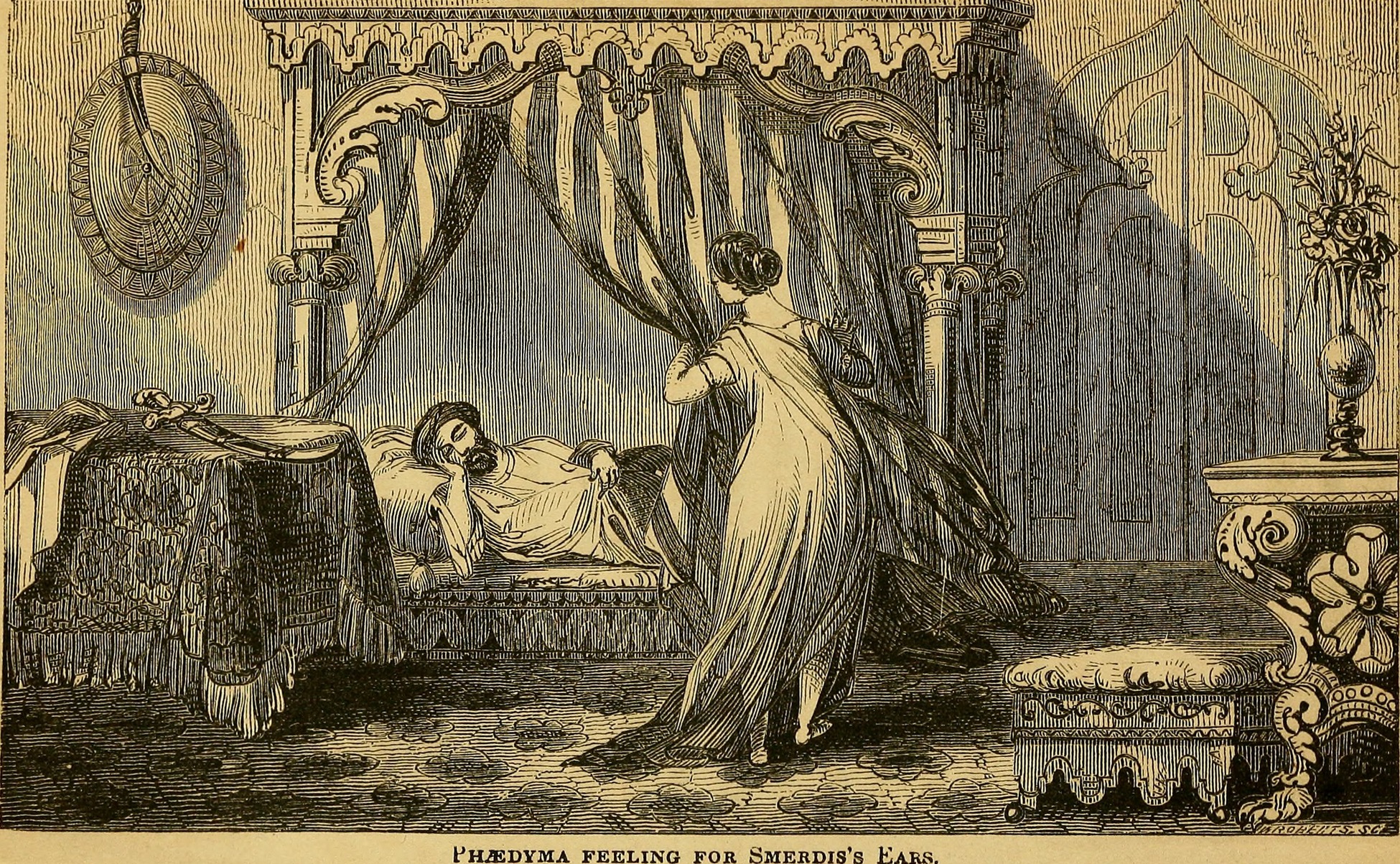 바르디야(스메르디스) 관련 이미지